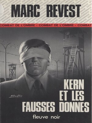 cover image of Kern et les fausses donnes